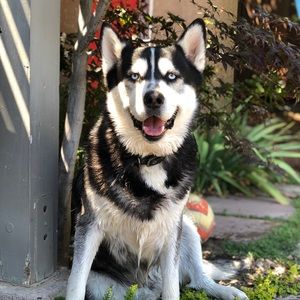 Meet your Posher, Nancy